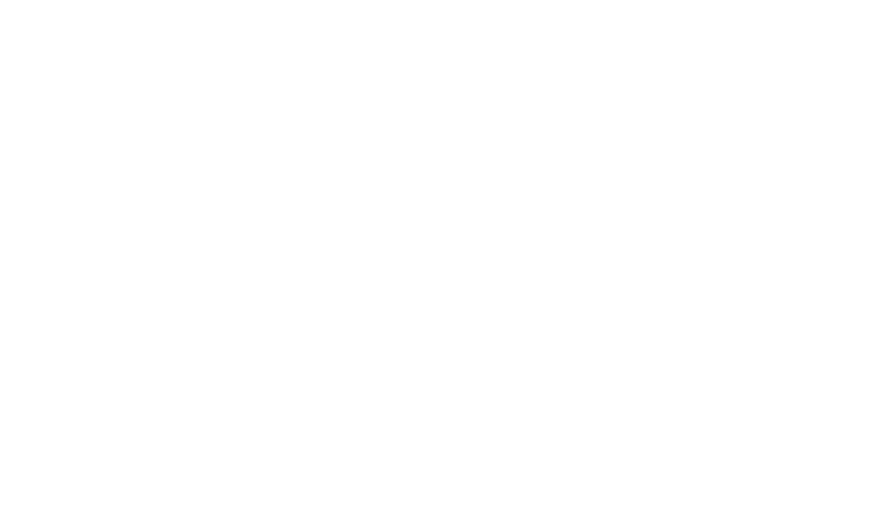 Opol Architecture Security Diagram